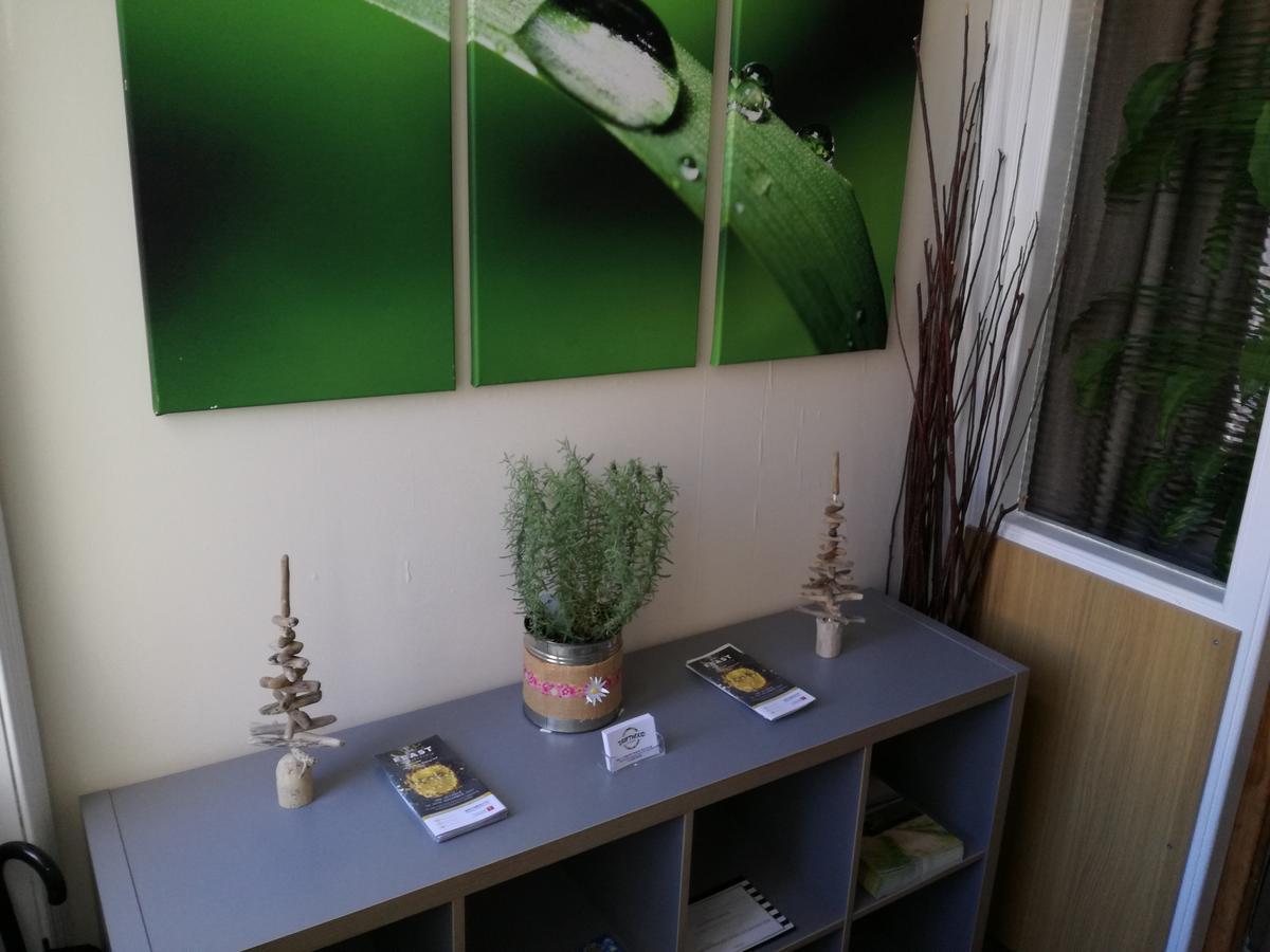 Driftwood B&B Weymouth Zewnętrze zdjęcie